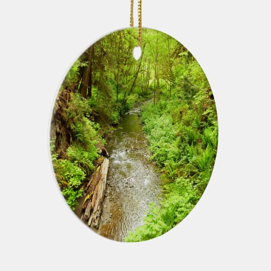 マン失ったクリークIIアットレッドウッド国立公園 セラミックオーナメント (右)