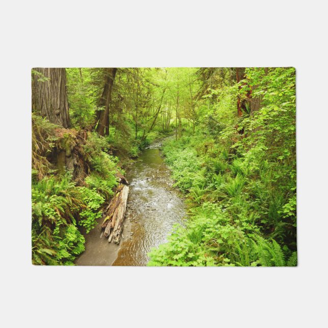 マン失ったクリークIIアットレッドウッド国立公園 ドアマット (正面)