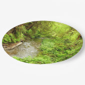 マン失ったクリークIIアットレッドウッド国立公園 ペーパープレート (アングル)