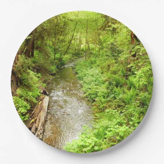 マン失ったクリークIIアットレッドウッド国立公園 ペーパープレート (正面)