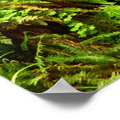 マン失ったクリークIIアットレッドウッド国立公園 ポスター (角)