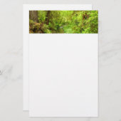 マン失ったクリークIIアットレッドウッド国立公園 便箋 (正面/裏面)