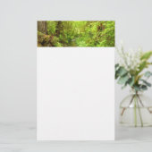 マン失ったクリークIIアットレッドウッド国立公園 便箋 (スタンド正面)