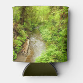 マン失ったクリークIIアットレッドウッド国立公園 缶クーラー (正面)