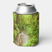 マン失ったクリークIIアットレッドウッド国立公園 缶クーラー (缶裏面)