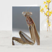 マン祈ティス カード (黄色い花)