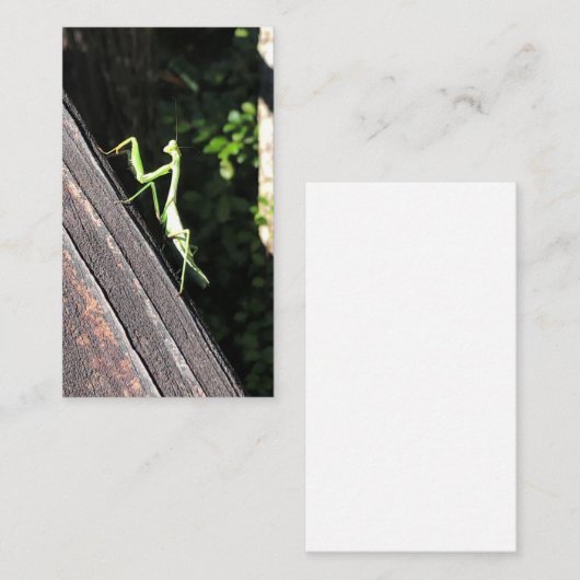 マン祈ティス  名刺 (正面/裏面)