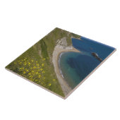 マン·オ·ウォーベイ、ジュラシック·コースト、ルルワース、ドーセット、 タイル (側面)