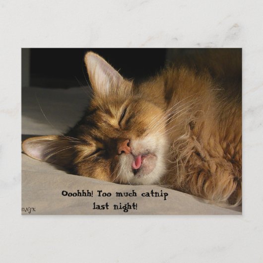 マーカスは二日酔いだ ポストカード (正面)