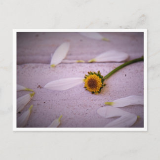 「マーガレットが言った：YES!」はがき ポストカード