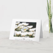 マーガレットデイジーカード カード (裏面)