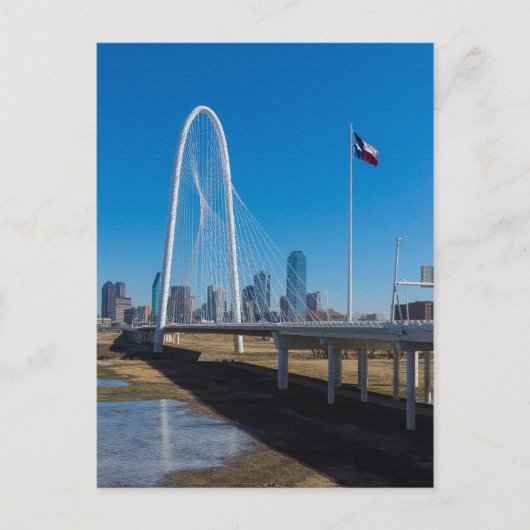 マーガレット狩りヒルテクスチャ ポストカード (正面)