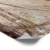 マーガレット・マクドナルド赤バラと白バラ ポスター (角)