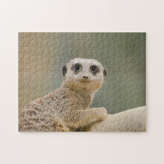 マーキャッツ・アフリカ ジグソーパズル (横)