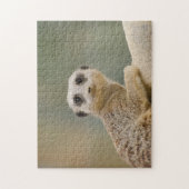 マーキャッツ・アフリカ ジグソーパズル (縦)