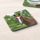 マーキング付き馬顔 コースター (左側)