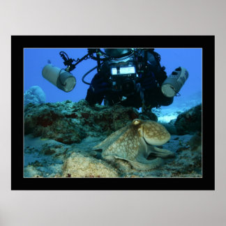 マークとタコ ポスター