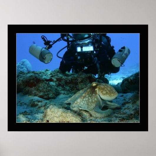 マークとタコ ポスター (正面)