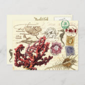マークと切手を添えた海洋生物コラージュ ポストカード (正面/裏面)