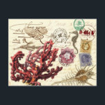 マークと切手を添えた海洋生物コラージュ ポストカード<br><div class="desc">マリンライフのメール関連コラージュの背景に古いヴィンテージの手紙を掲載。アートワークには、様々なスタンプ、ポストマーク、キャンセルが含まれる。コラージュを支配する赤い柔らかいサンゴ（アルキオニウム・アルボレウム）は、幽霊のピペフィッシュ、シーホースおよびシーシェルを含む他の海生活を含む。© HTMイメージ</div>