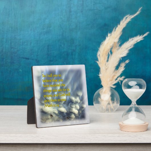 マーク11:24 フォトプラーク (インサイチュ)