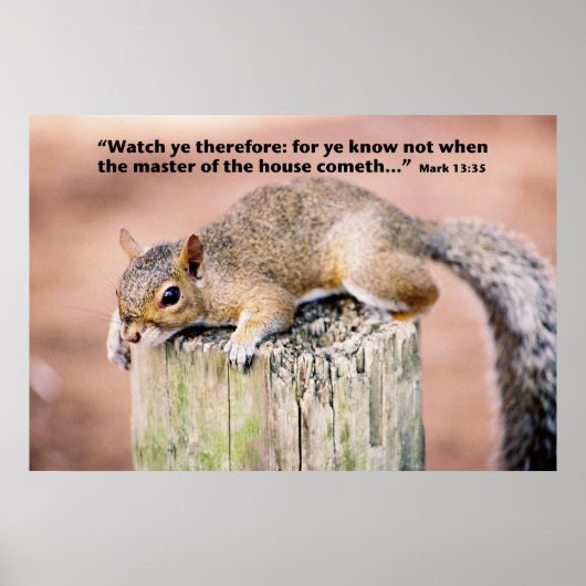 マーク13 ポスター (正面)