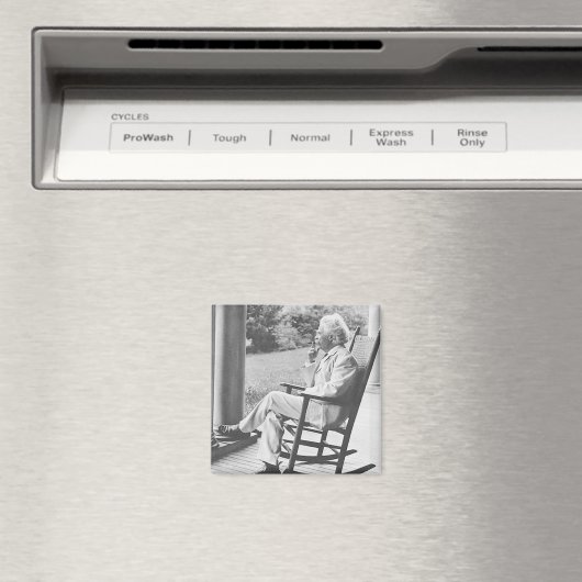 マークTwain磁石 マグネット (インサイチュ (食洗機))