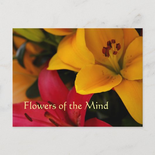 マーケットフラワーズII ポストカード (正面)