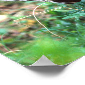 マーゲイ、ヒョウ・ウィエディ、メキシコへの先住民 ポスター (角)