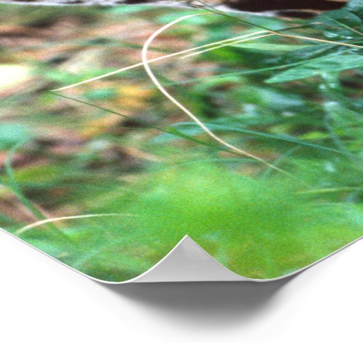 マーゲイ、ヒョウ・ウィエディ、メキシコへの先住民 ポスター (角)