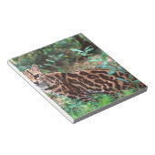 マーゲイ, Leopardus wiedi, メキシコ原産の ノートパッド (アングル)