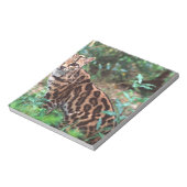 マーゲイ, Leopardus wiedi, メキシコ原産の ノートパッド (回転)
