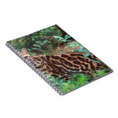 マーゲイ, Leopardus wiedi, メキシコ原産の ノートブック (右側)