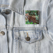 マーゲイ、Leopardus wiedi、メキシコ原産の 缶バッジ (インサイチュ)