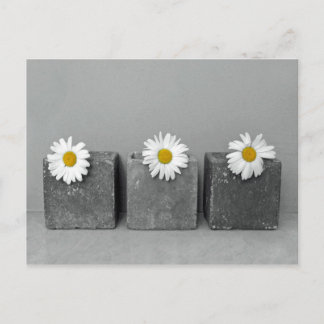 マーゲリテン ポストカード