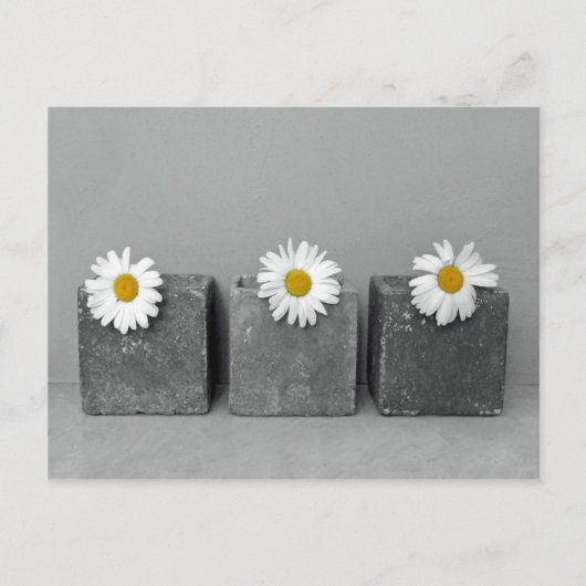 マーゲリテン ポストカード (正面)