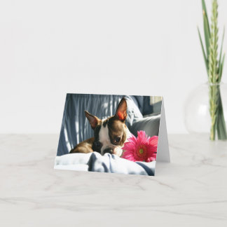 マーサとガーベラデイジー カード