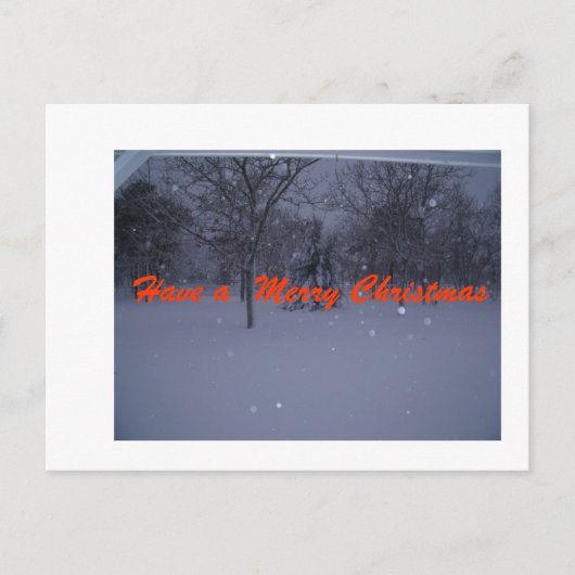 マーサのブドウ園のコレクション-クリスマスカード シーズンポストカード (正面)