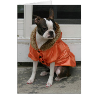 マーサの冬のコート