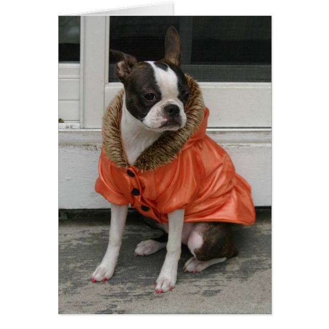 マーサの冬のコート (正面)