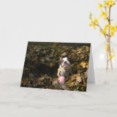 マーサの秋 カード (黄色い花)