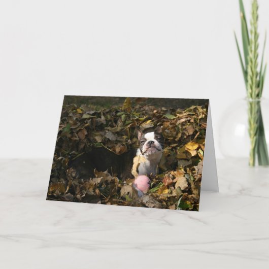 マーサの秋 カード (正面)