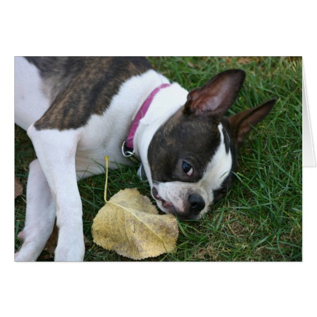 マーサの葉 (正面横)