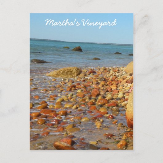 マーサズヴィンヤードポストカード ポストカード (正面)