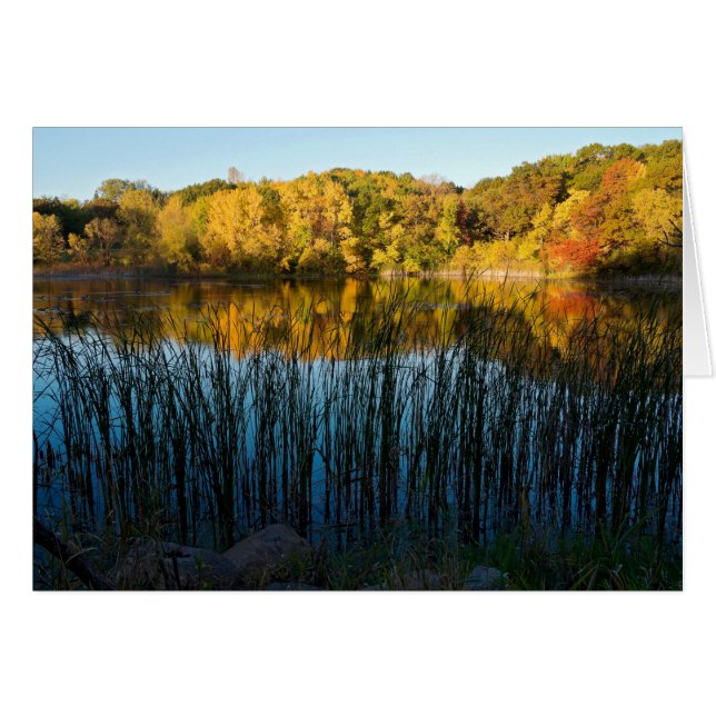 マーサラーパークオータムリフレクション (正面横)