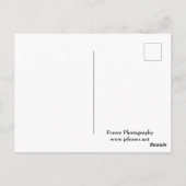 マーサラーパークスノーイヒルズ ポストカード (裏面)