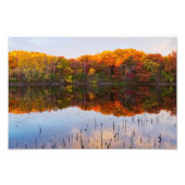 マーサラーパーク秋と池のリフレクション フォトプリント            (正面)
