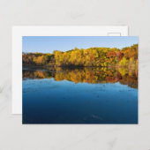 マーサラー公園の森林と秋の反射 ポストカード (正面/裏面)