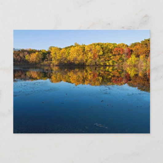 マーサラー公園の森林と秋の反射 ポストカード (正面)