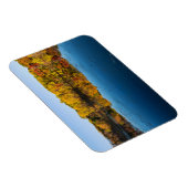 マーサラー公園の森林と秋の反射 マグネット (右側)